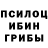 Псилоцибиновые грибы Cubensis Toma Kelehsaeva