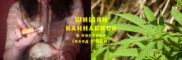 соль ск Сатка