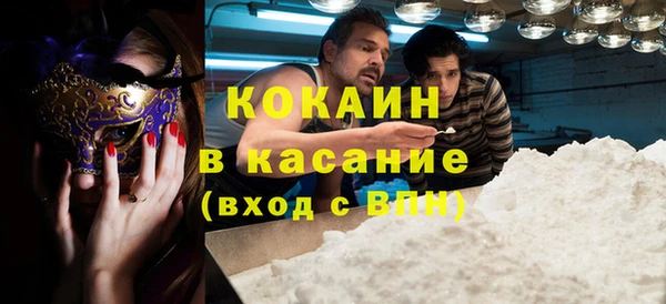 крисы Алзамай