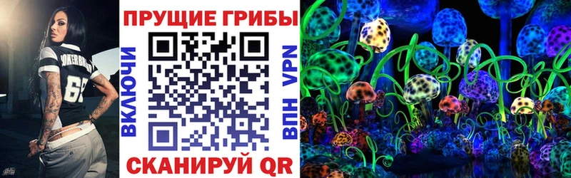купить  сайты  MEGA вход  Псилоцибиновые грибы мицелий  Козловка 